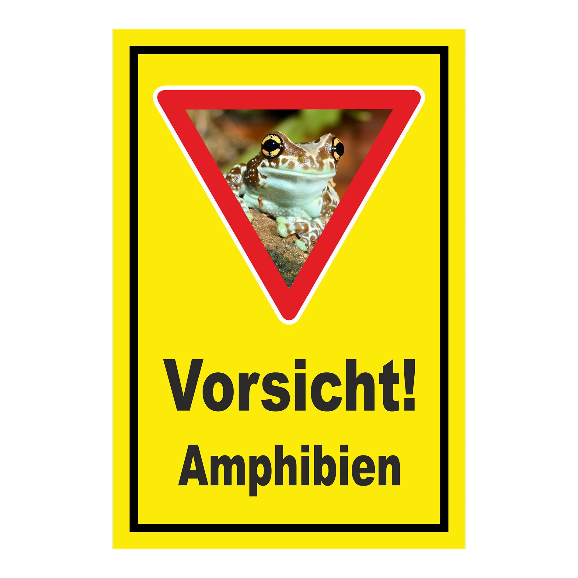 Schild Vorsicht Amphibien mit Froschmotiv ‚Vorsicht! Amphibien‘ in Gelb mit schwarzem Rand und rotem Dreieck
