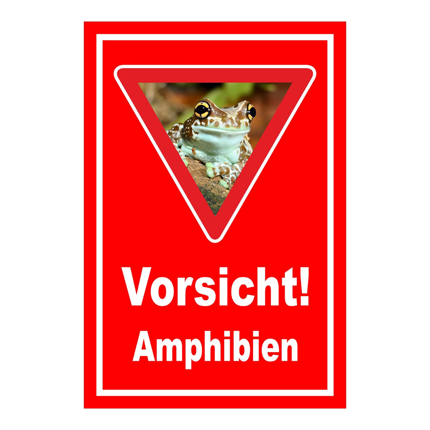 Schild Vorsicht Amphibien mit Froschmotiv ‚Vorsicht! Amphibien‘ in Rot mit weißem Rand und rotem Dreieck