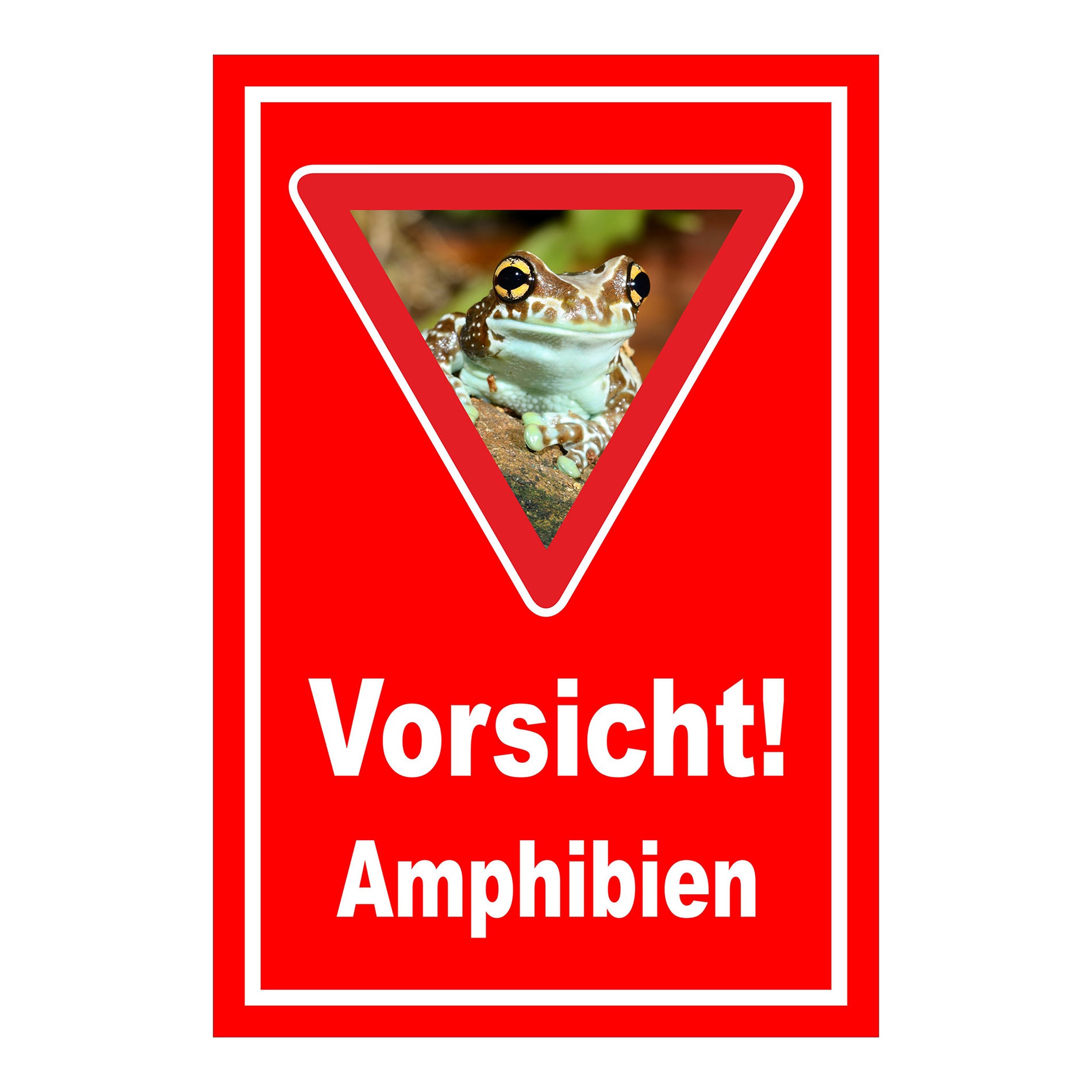 Schild Vorsicht Amphibien mit Froschmotiv ‚Vorsicht! Amphibien‘ in Rot mit weißem Rand und rotem Dreieck