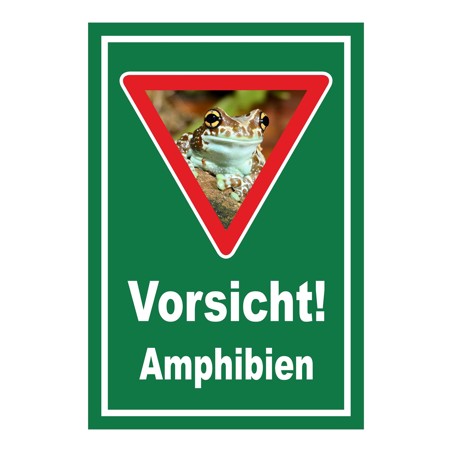 Schild Vorsicht Amphibien mit Froschmotiv ‚Vorsicht! Amphibien‘ in Grün mit weißem Rand und rotem Dreieck