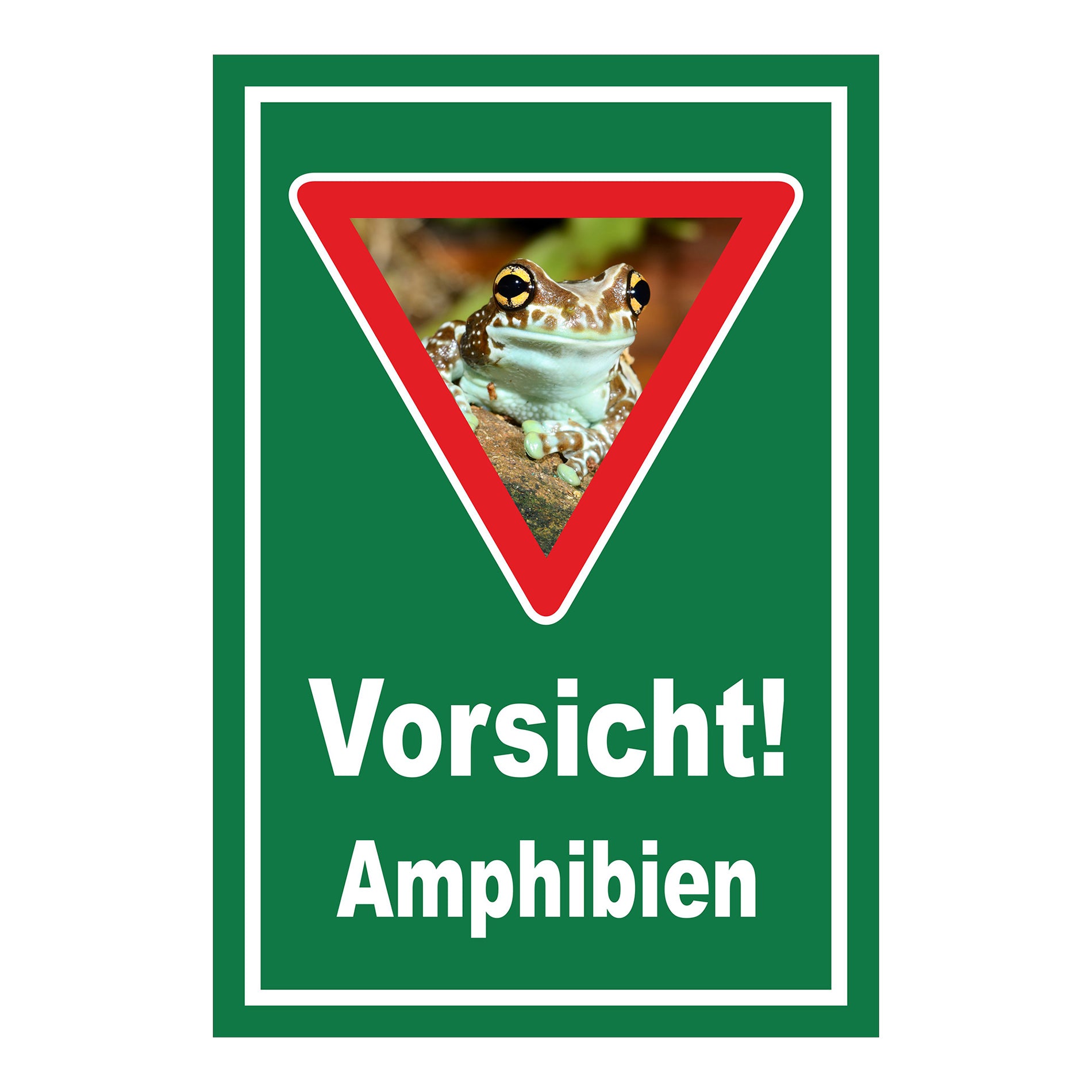 Schild Vorsicht Amphibien mit Froschmotiv ‚Vorsicht! Amphibien‘ in Grün mit weißem Rand und rotem Dreieck