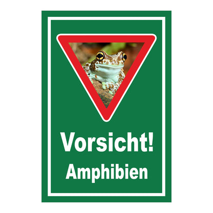 Schild Vorsicht Amphibien mit Froschmotiv ‚Vorsicht! Amphibien‘ in Grün mit weißem Rand und rotem Dreieck