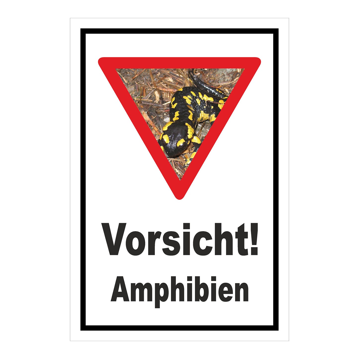 Schild Amphibien Vorsicht Hinweis mit Foto ‚Vorsicht! Amphibien‘ in Weiß mit schwarzem Rand und Warnsymbol