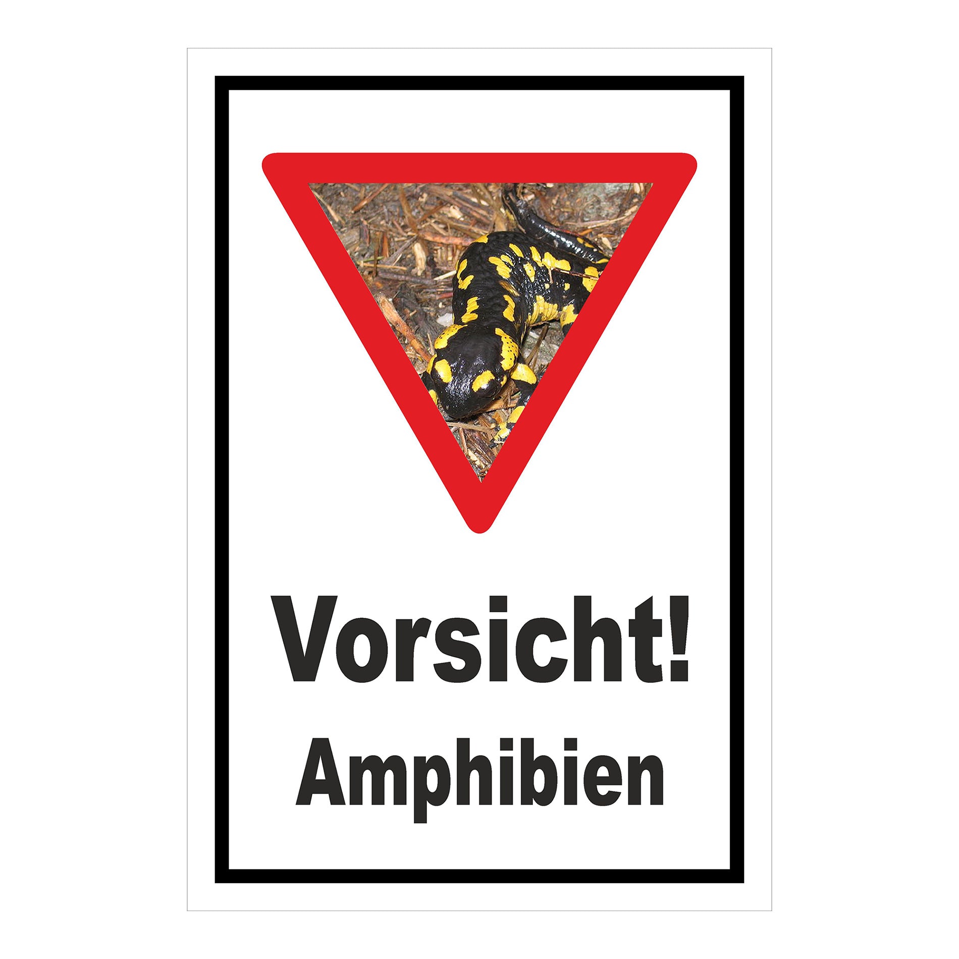 Schild Amphibien Vorsicht Hinweis mit Foto ‚Vorsicht! Amphibien‘ in Weiß mit schwarzem Rand und Warnsymbol