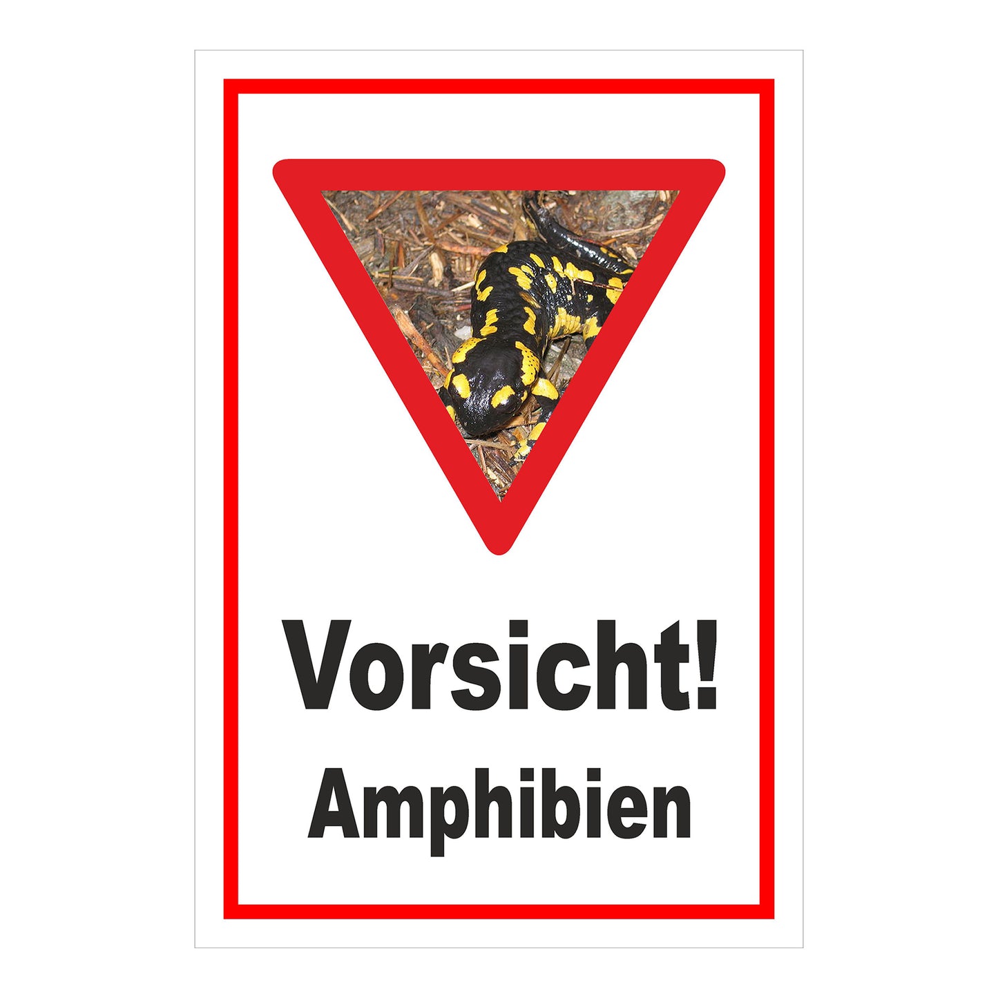 Schild Amphibien Vorsicht Hinweis mit Foto ‚Vorsicht! Amphibien‘ in Weiß mit rotem Rand und Warnsymbol