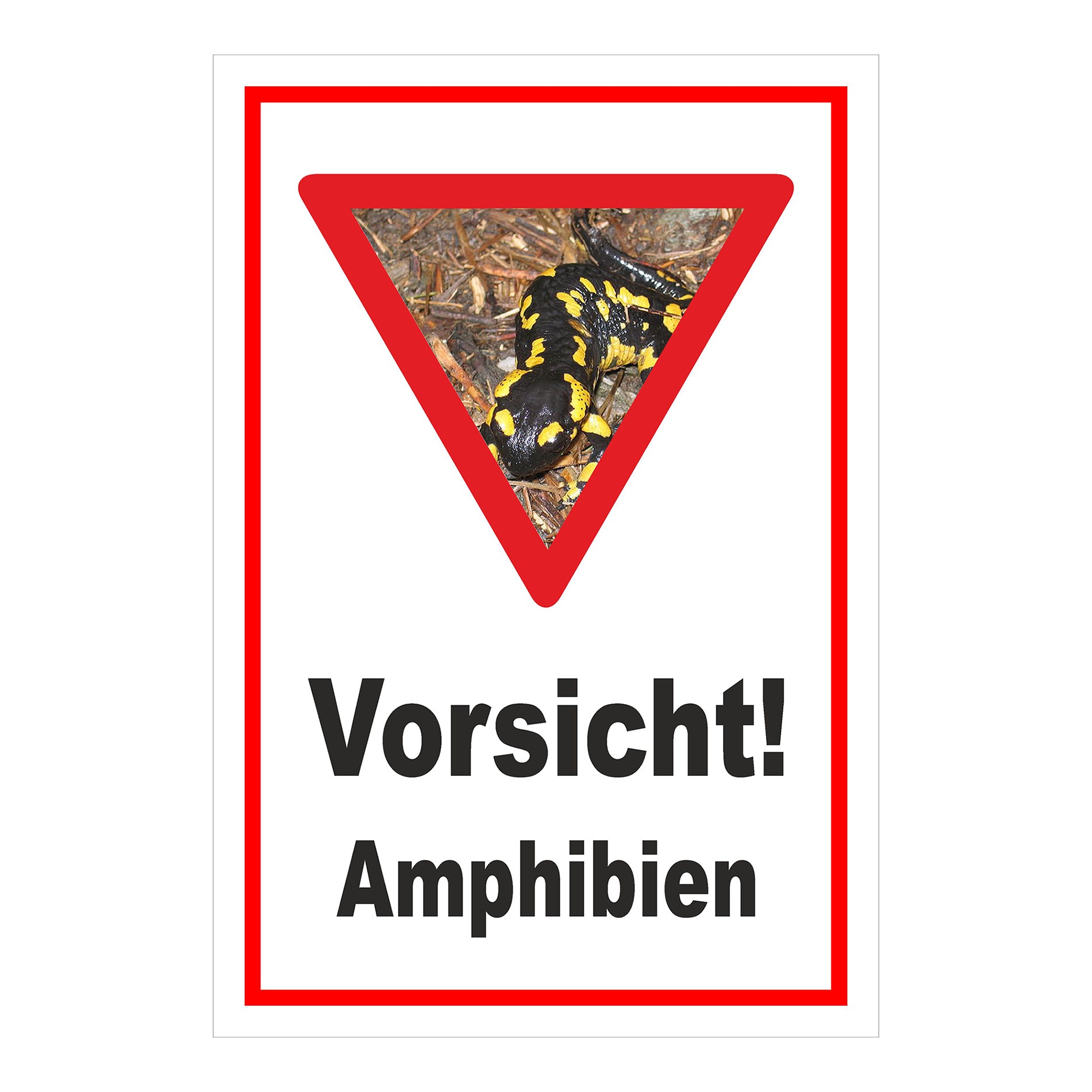 Schild Amphibien Vorsicht Hinweis mit Foto ‚Vorsicht! Amphibien‘ in Weiß mit rotem Rand und Warnsymbol