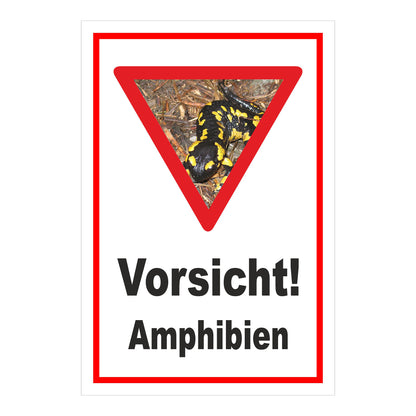 Schild Amphibien Vorsicht Hinweis mit Foto ‚Vorsicht! Amphibien‘ in Weiß mit rotem Rand und Warnsymbol