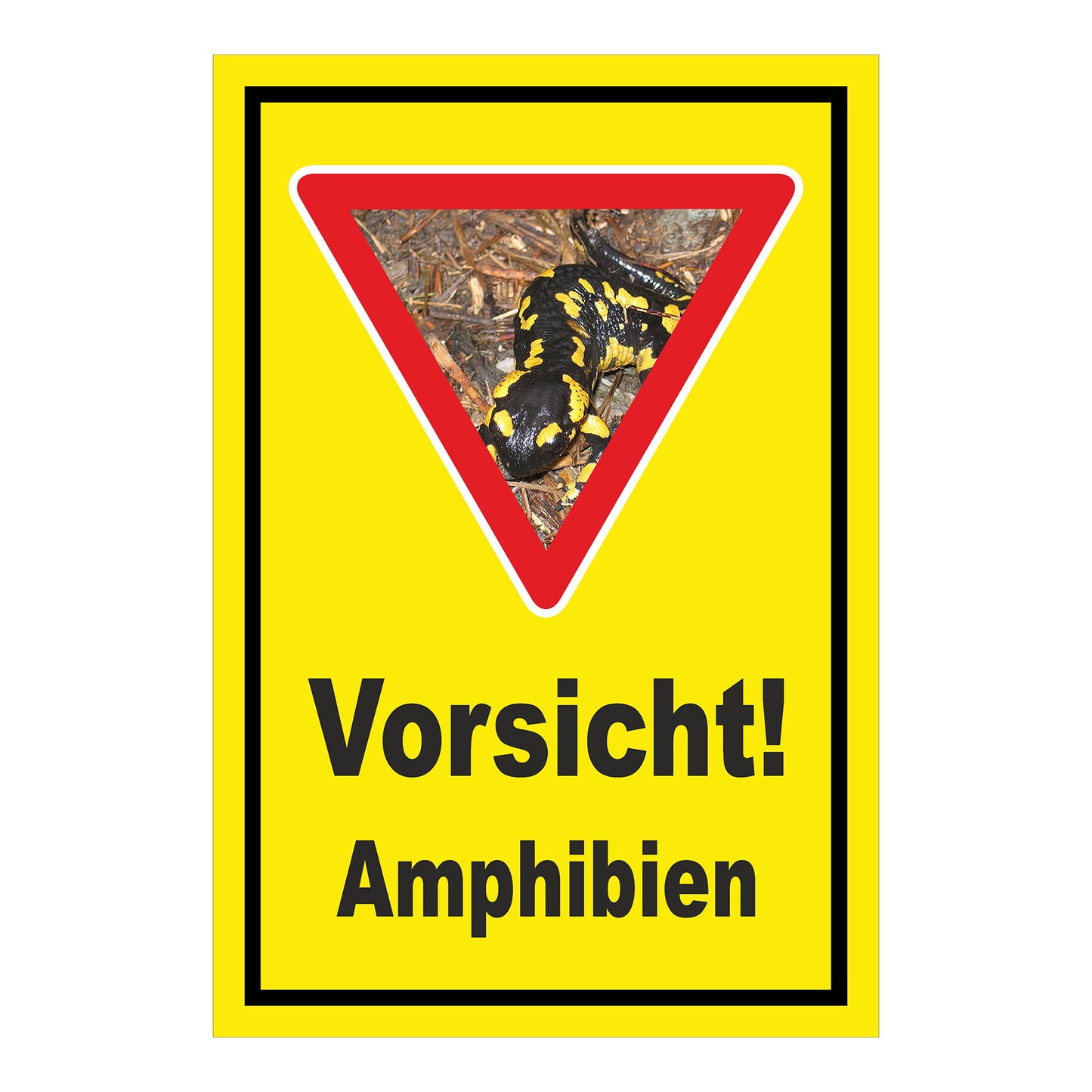 Schild Amphibien Vorsicht Hinweis mit Foto ‚Vorsicht! Amphibien‘ in Gelb mit schwarzem Rand und Warnsymbol