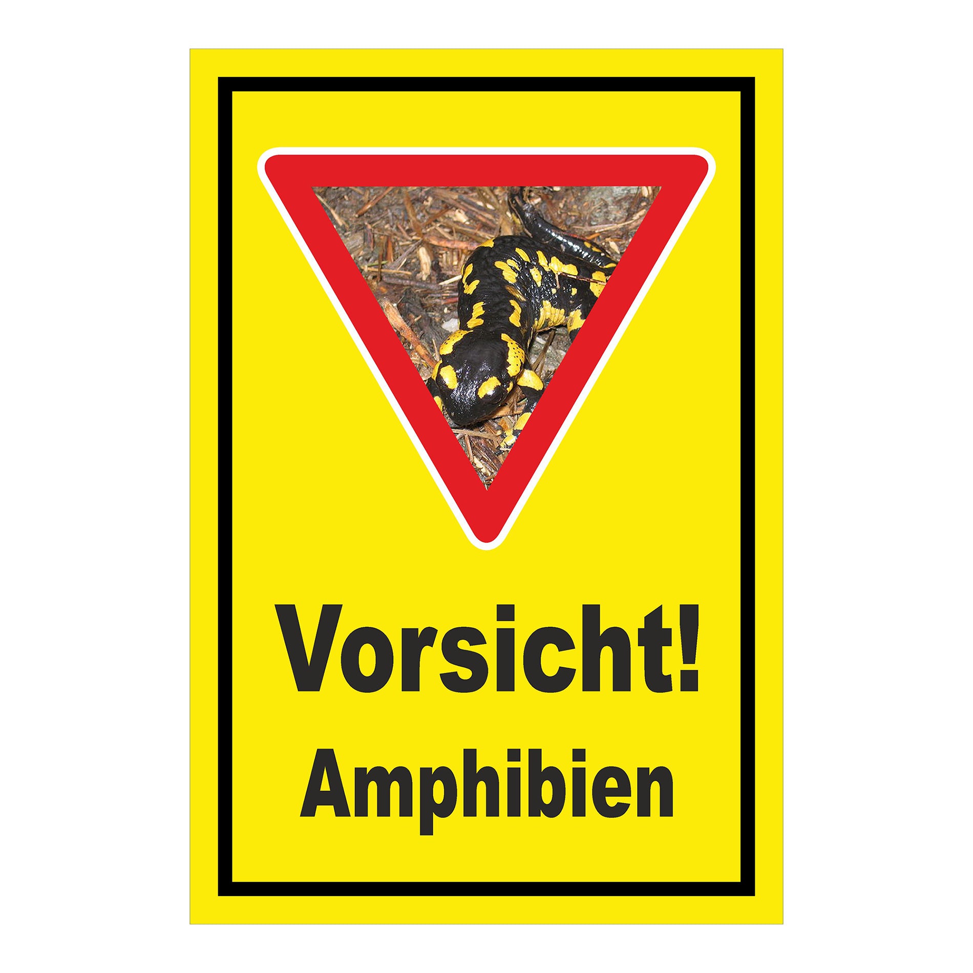 Schild Amphibien Vorsicht Hinweis mit Foto ‚Vorsicht! Amphibien‘ in Gelb mit schwarzem Rand und Warnsymbol