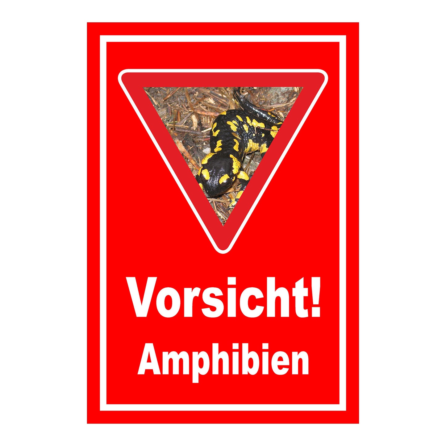 Schild Amphibien Vorsicht Hinweis mit Foto ‚Vorsicht! Amphibien‘ in Rot mit weißer Schrift und Warnsymbol