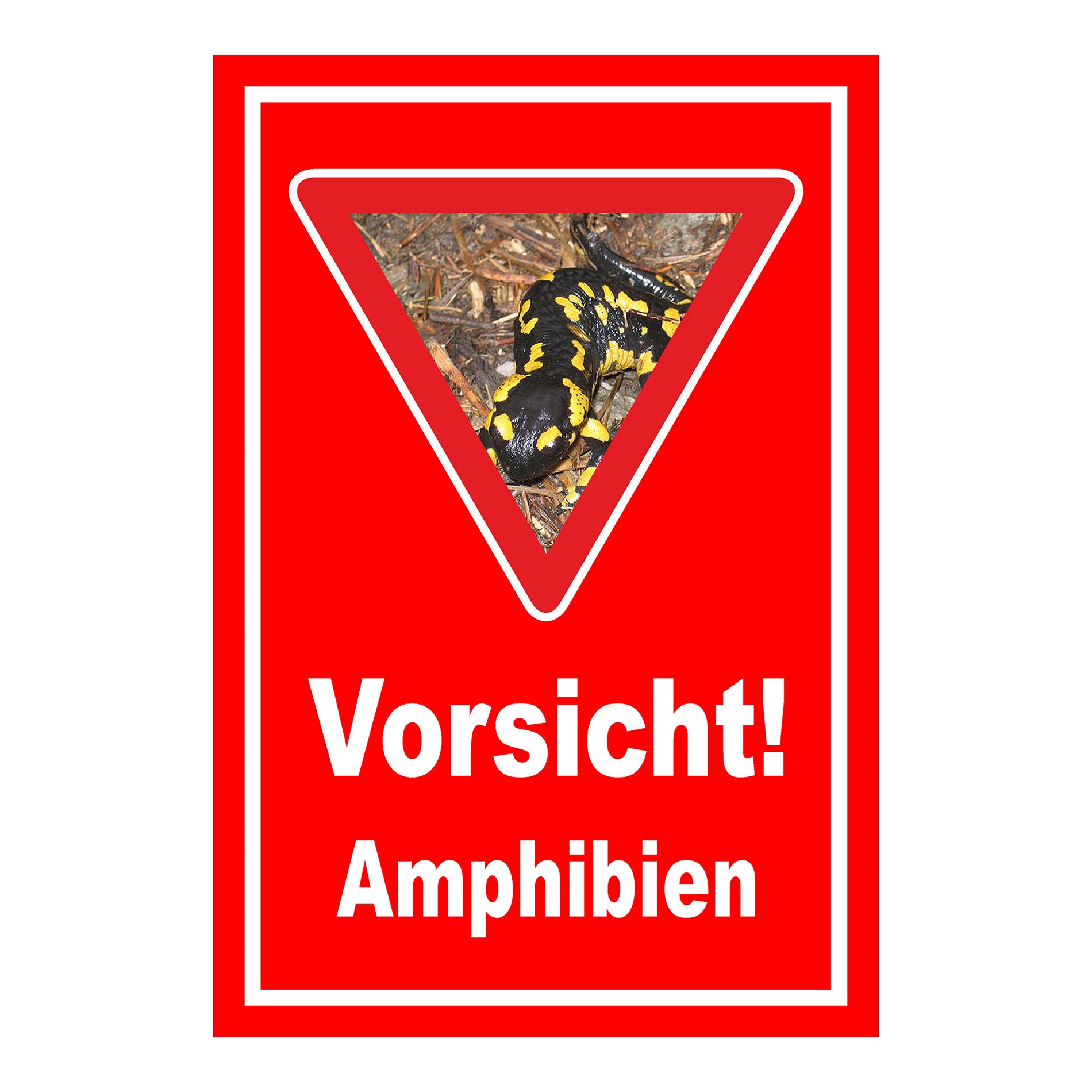 Schild Amphibien Vorsicht Hinweis mit Foto ‚Vorsicht! Amphibien‘ in Rot mit weißer Schrift und Warnsymbol