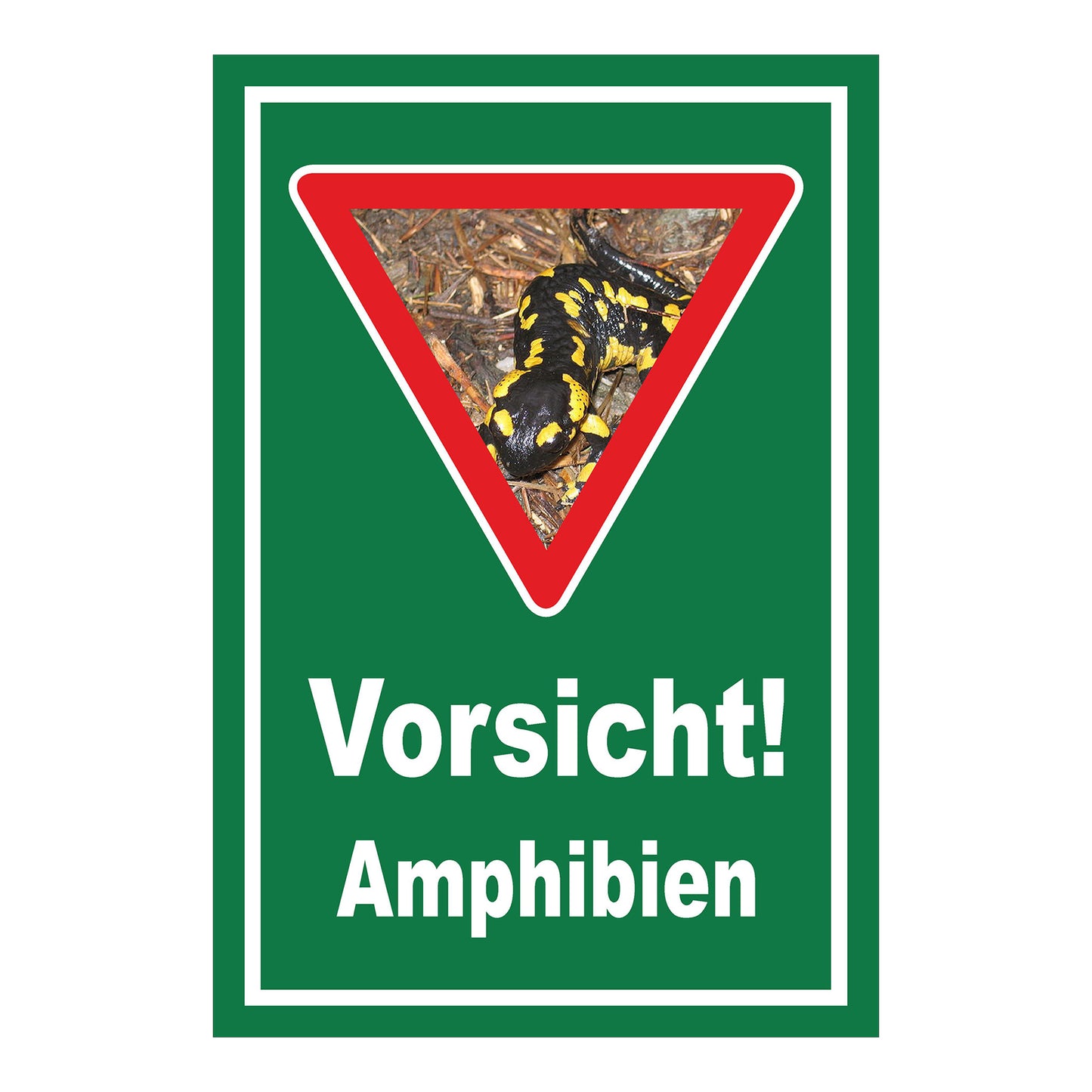 Schild Amphibien Vorsicht Hinweis mit Foto ‚Vorsicht! Amphibien‘ in Grün mit weißer Schrift und Warnsymbol