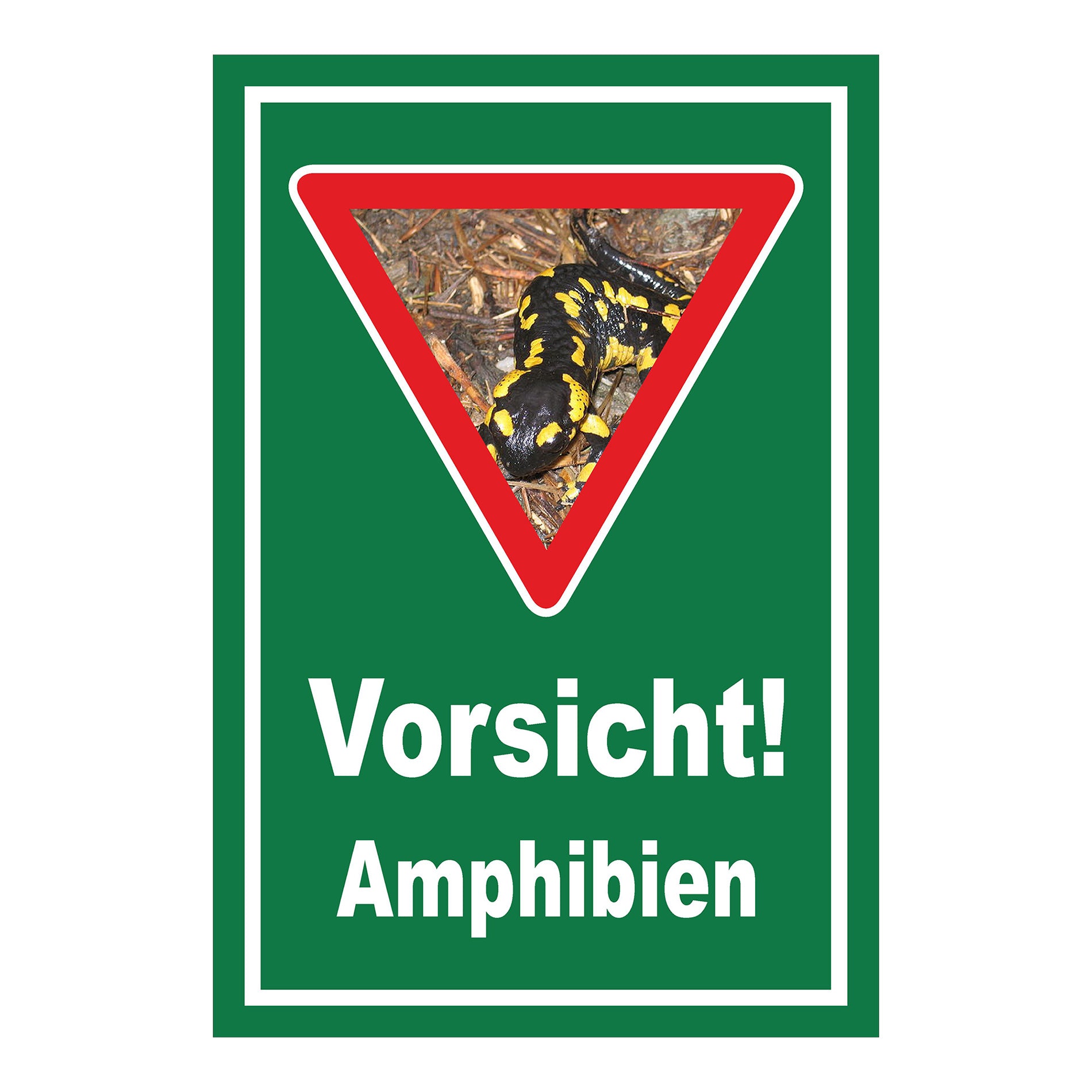 Schild Amphibien Vorsicht Hinweis mit Foto ‚Vorsicht! Amphibien‘ in Grün mit weißer Schrift und Warnsymbol