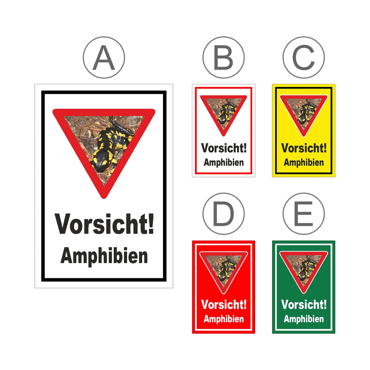 Übersichtsbild Schild Amphibien Vorsicht Hinweis mit Foto ‚Vorsicht! Amphibien‘ mit allen verfügbaren Farbvarianten