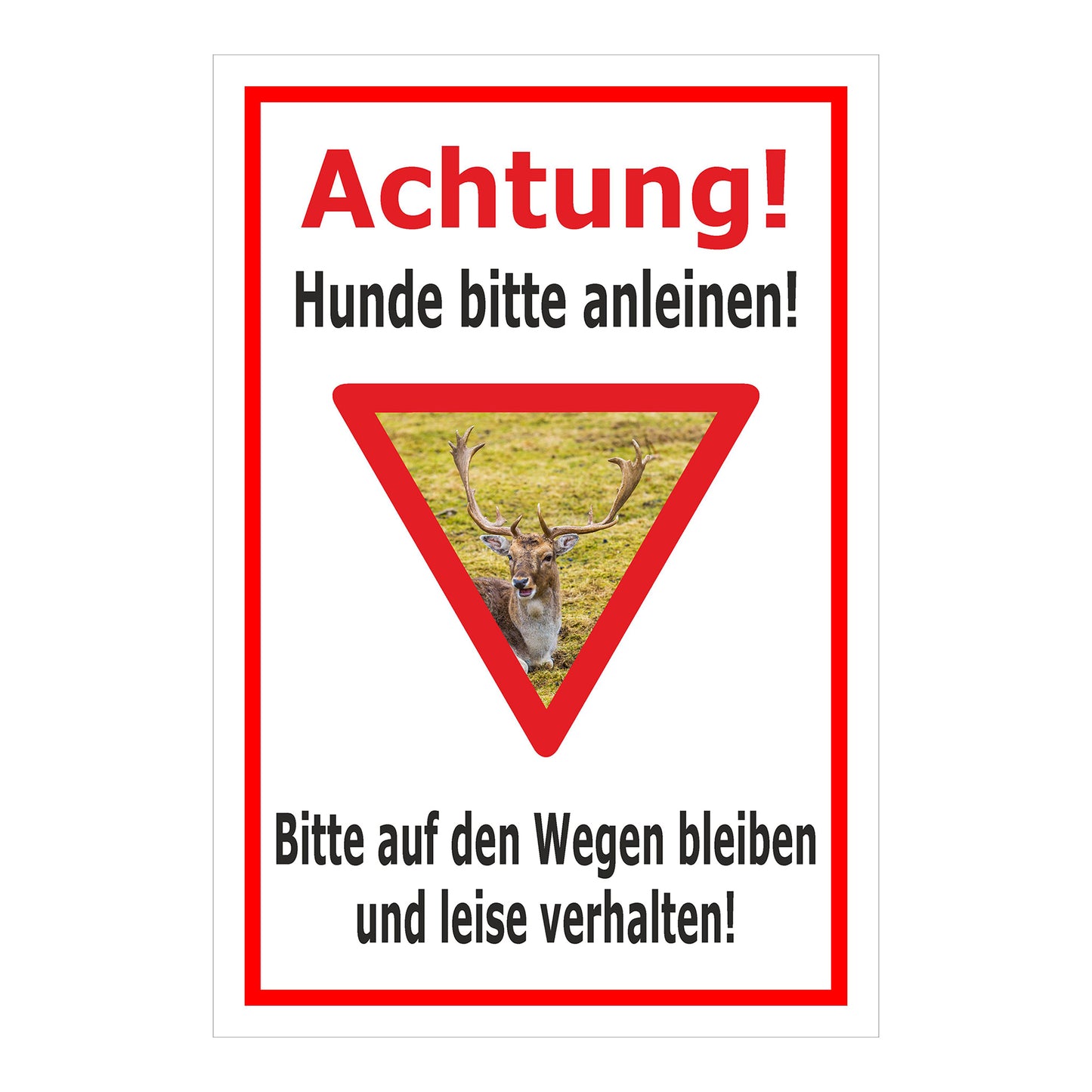 Schild Achtung Hunde bitte anleinen Wildbereich Hinweis in Weiß mit rotem Rand und Warnsymbol Hirsch