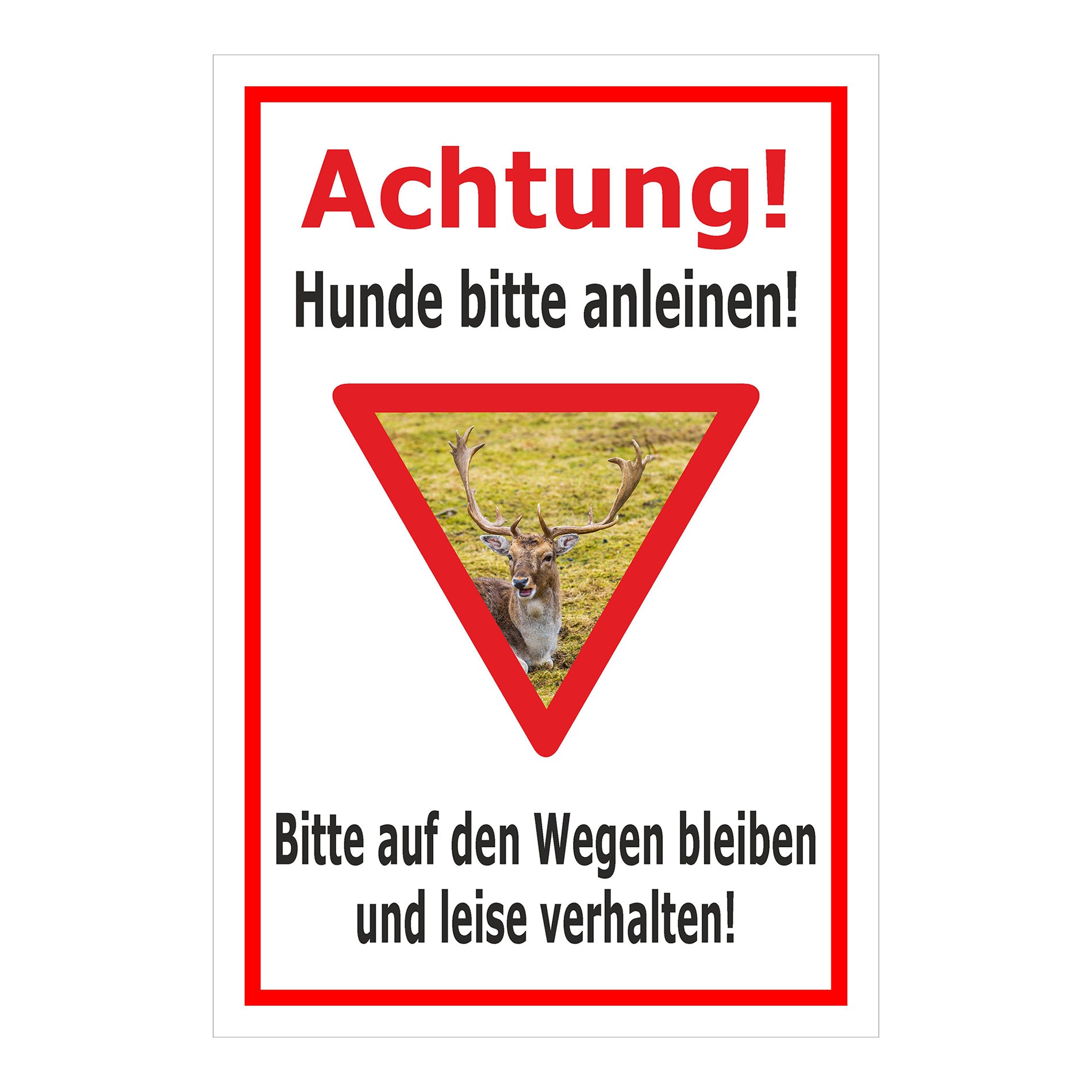 Schild Achtung Hunde bitte anleinen Wildbereich Hinweis in Weiß mit rotem Rand und Warnsymbol Hirsch