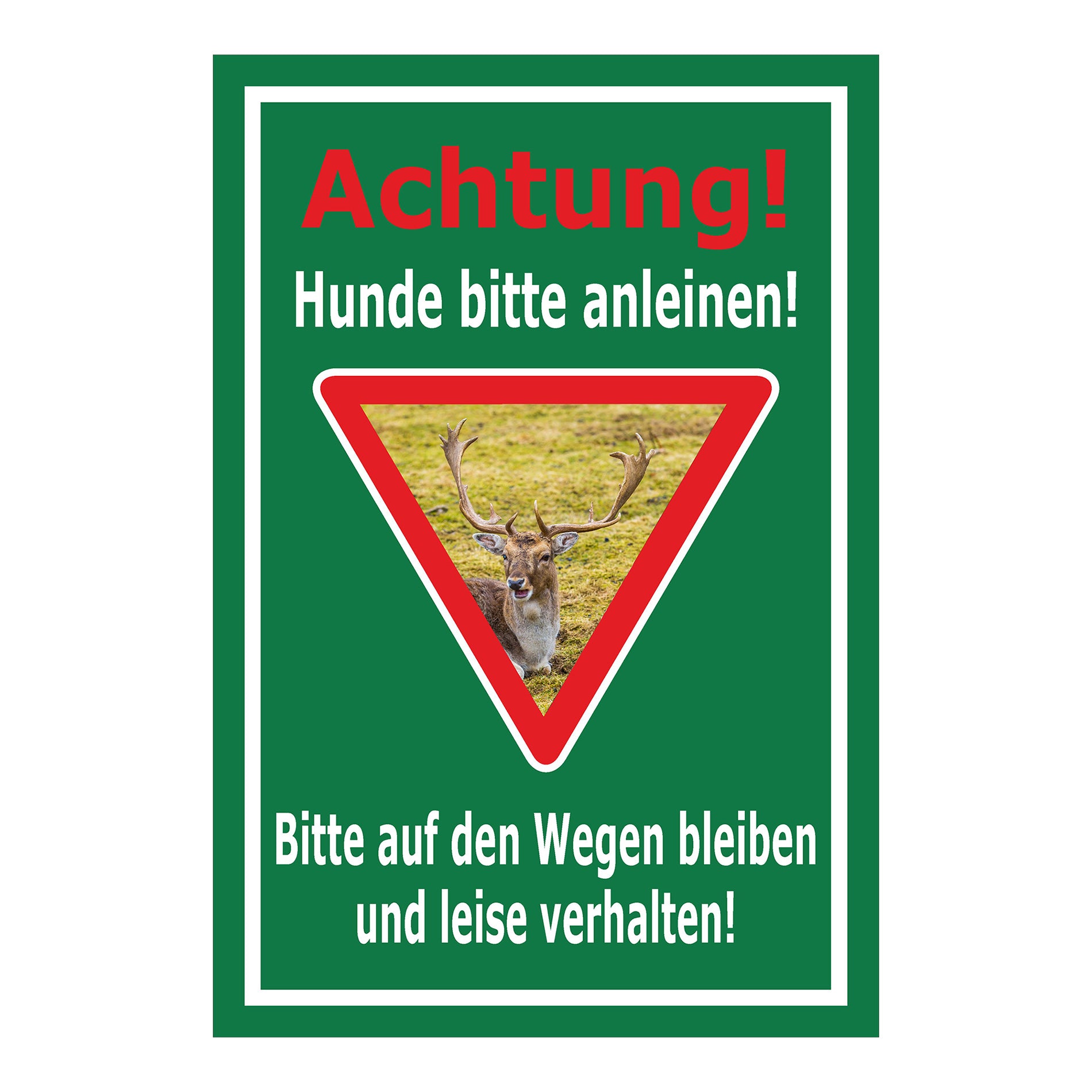 Schild Achtung Hunde bitte anleinen Wildbereich Hinweis in Grün mit weißem Rand und Warnsymbol Hirsch