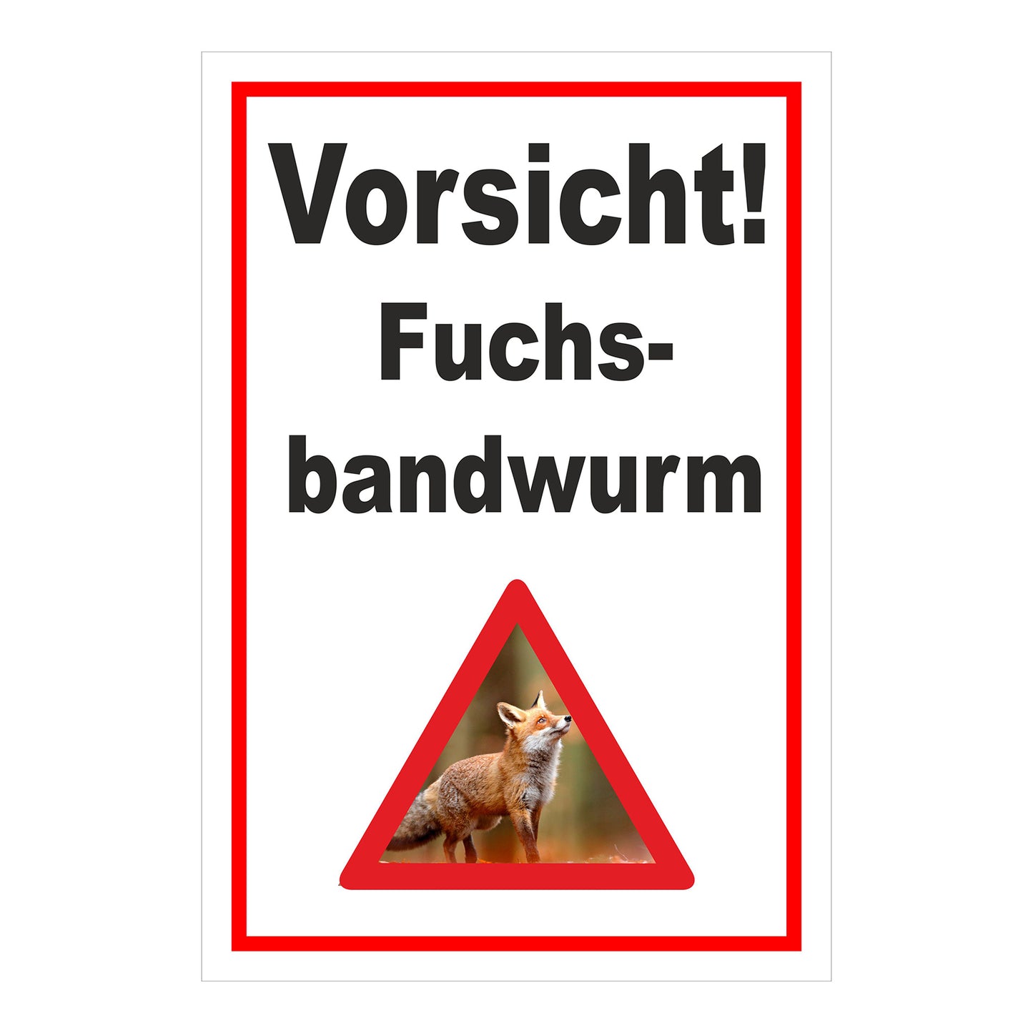 Schild Vorsicht Fuchsbandwurm Warnhinweis ‚Vorsicht! Fuchs-bandwurm‘ in Weiß mit rotem Rand und Warnsymbol