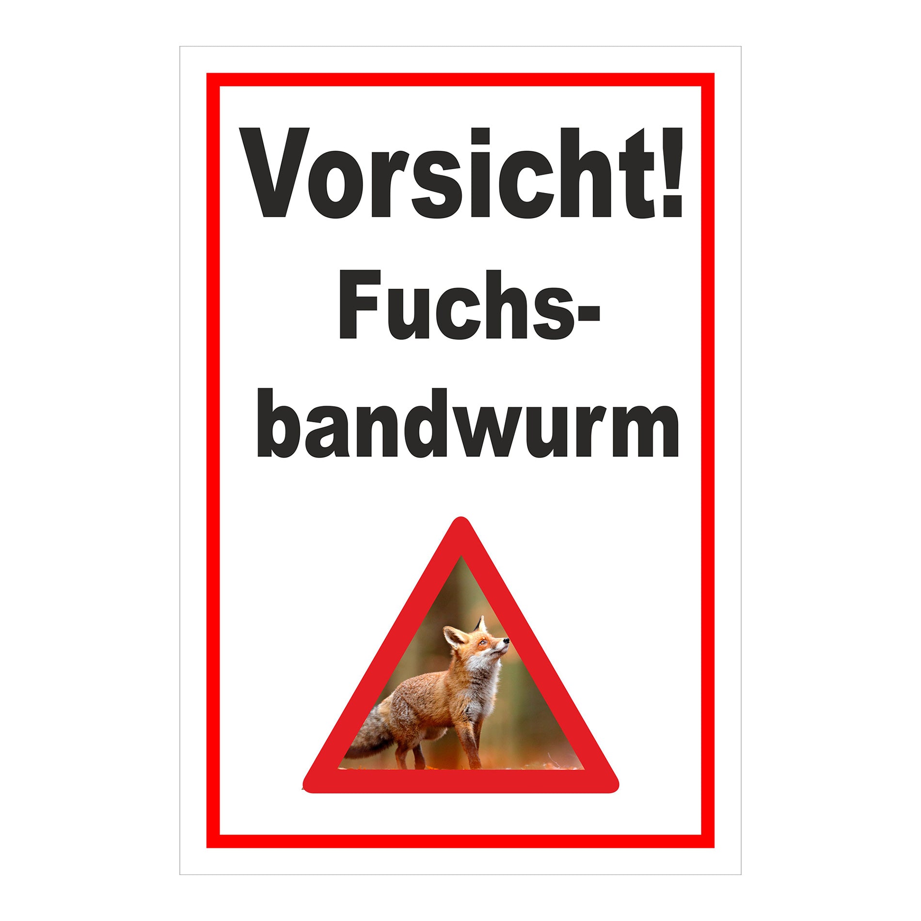 Schild Vorsicht Fuchsbandwurm Warnhinweis ‚Vorsicht! Fuchs-bandwurm‘ in Weiß mit rotem Rand und Warnsymbol