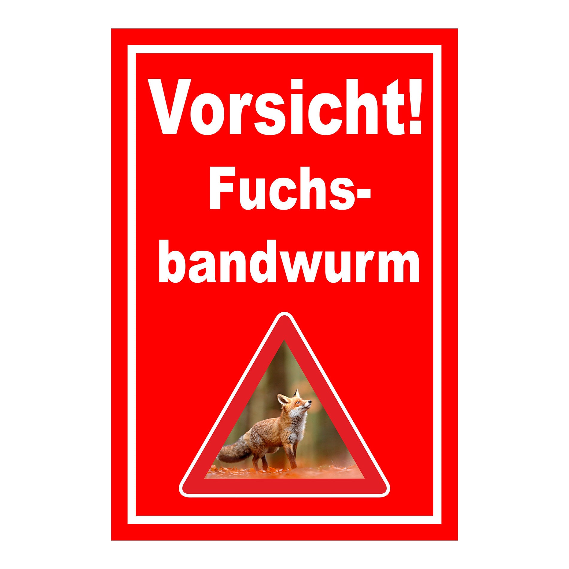 Schild Vorsicht Fuchsbandwurm Warnhinweis ‚Vorsicht! Fuchs-bandwurm‘ in Rot mit weißem Rand und Warnsymbol