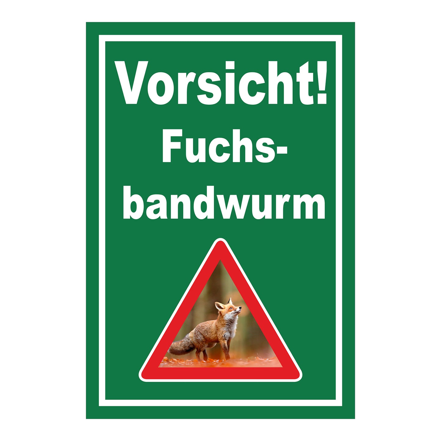 Schild Vorsicht Fuchsbandwurm Warnhinweis ‚Vorsicht! Fuchs-bandwurm‘ in Grün mit weißem Rand und Warnsymbol