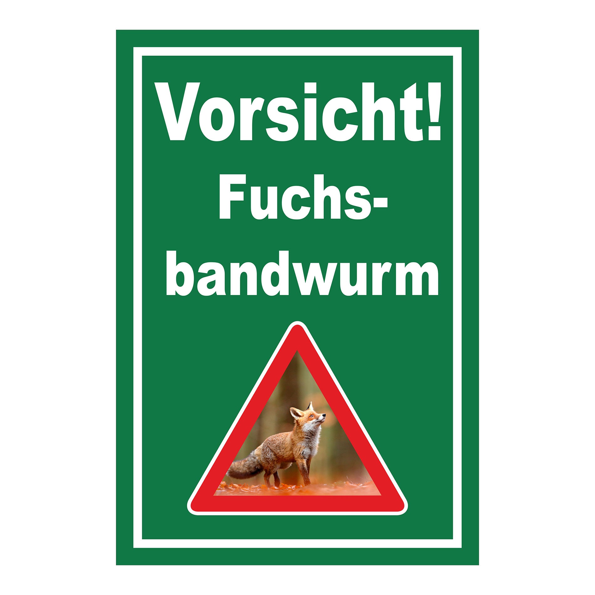 Schild Vorsicht Fuchsbandwurm Warnhinweis ‚Vorsicht! Fuchs-bandwurm‘ in Grün mit weißem Rand und Warnsymbol