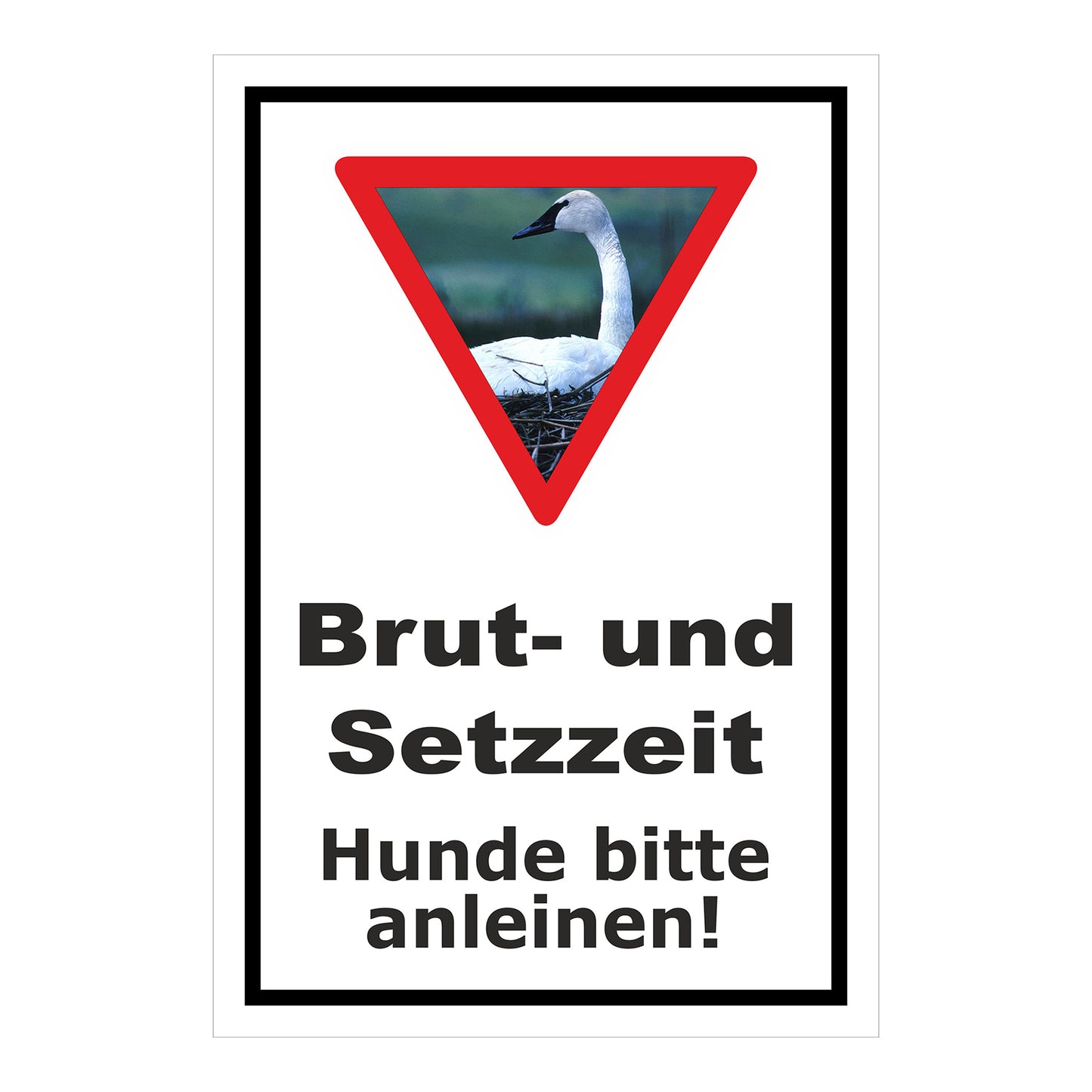 Schild Brut- und Setzzeit Hunde bitte anleinen in Weiß mit schwarzem Rand und Warnsymbol mit Schwan