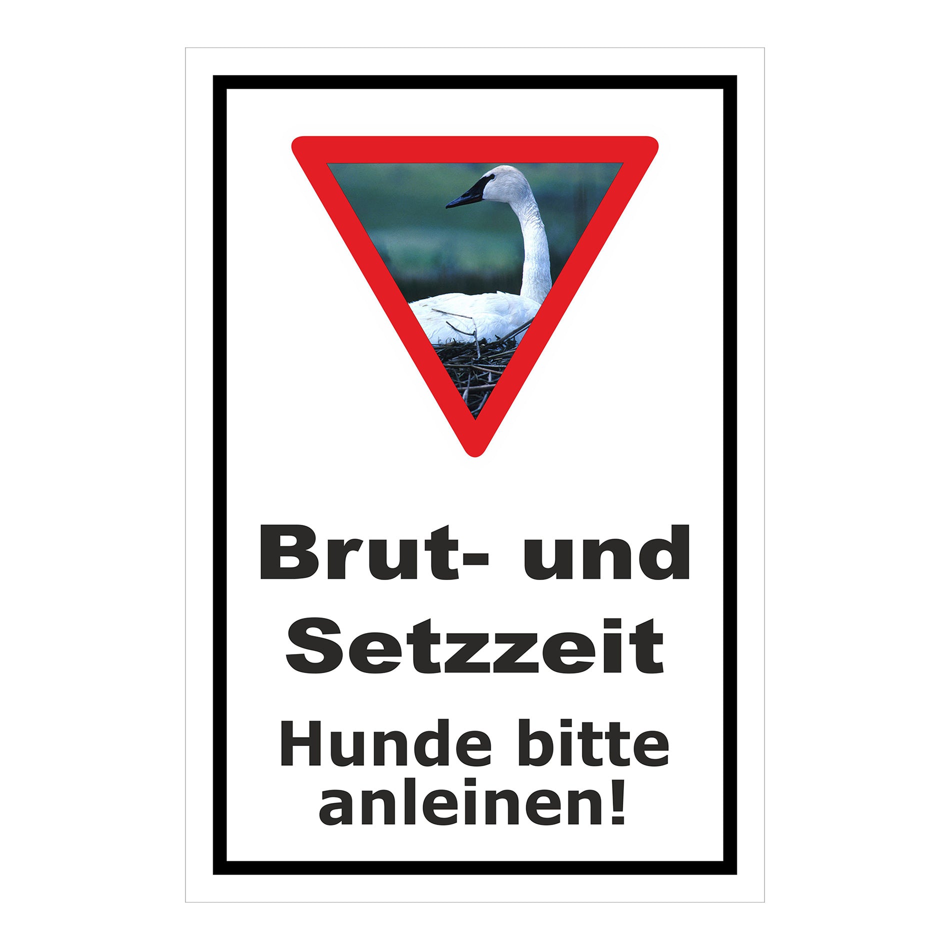 Schild Brut- und Setzzeit Hunde bitte anleinen in Weiß mit schwarzem Rand und Warnsymbol mit Schwan
