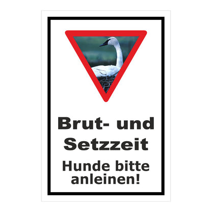 Schild Brut- und Setzzeit Hunde bitte anleinen in Weiß mit schwarzem Rand und Warnsymbol mit Schwan