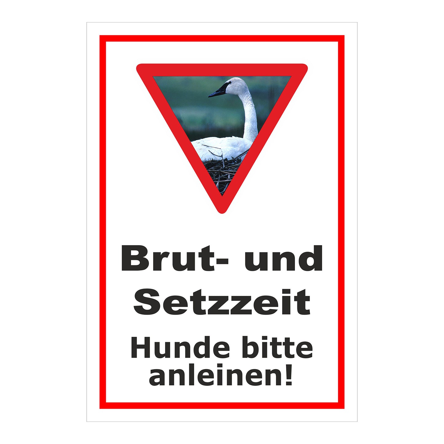 Schild Brut- und Setzzeit Hunde bitte anleinen in Weiß mit rotem Rahmen und Warnsymbol mit Schwan