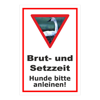 Schild Brut- und Setzzeit Hunde bitte anleinen in Weiß mit rotem Rahmen und Warnsymbol mit Schwan