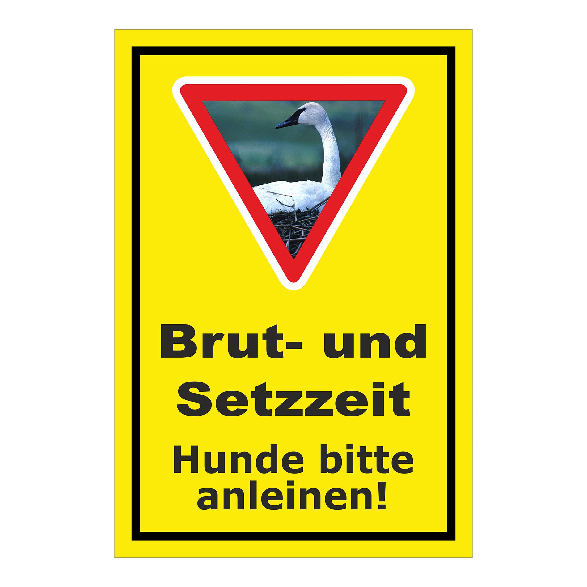 Schild Brut- und Setzzeit Hunde bitte anleinen in Gelb mit schwarzem Rand und Warnsymbol mit Schwan