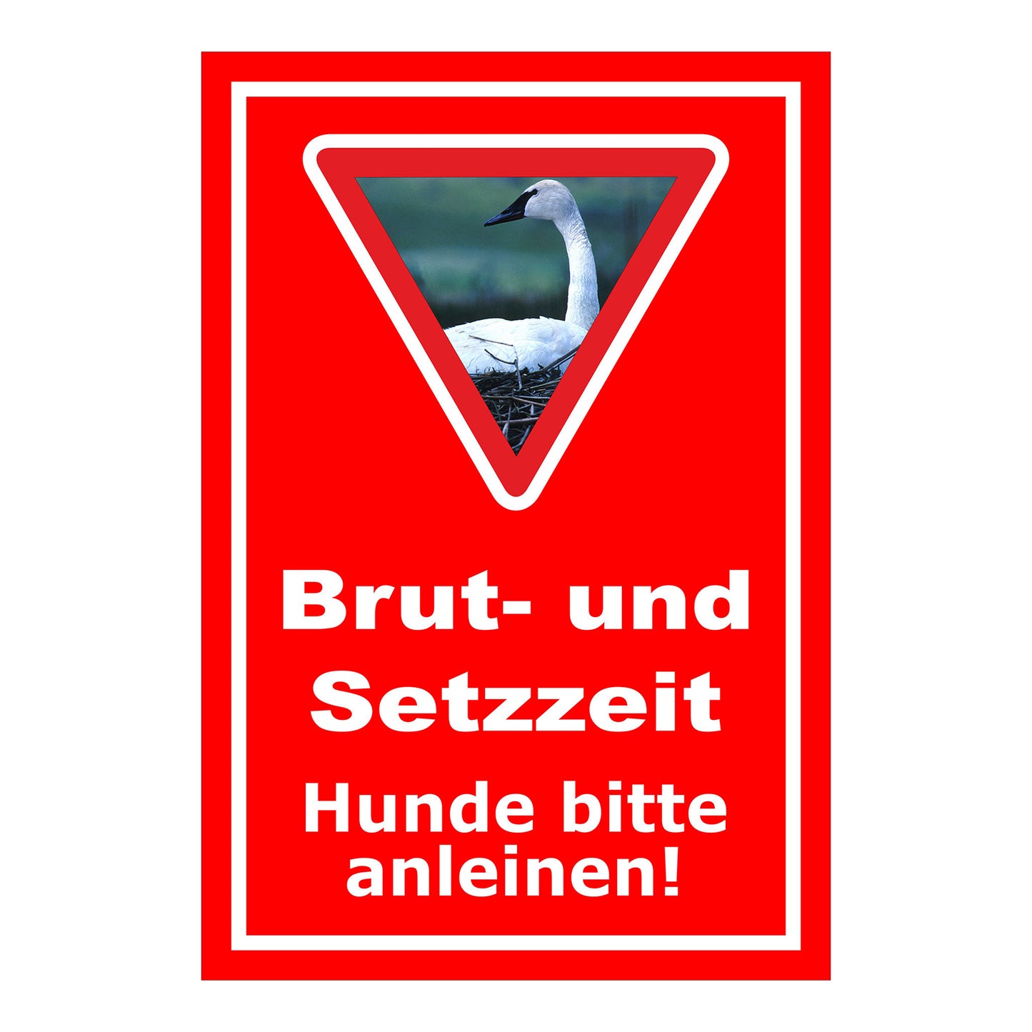 Schild Brut- und Setzzeit Hunde bitte anleinen in Rot mit weißem Rahmen und Warnsymbol mit Schwan