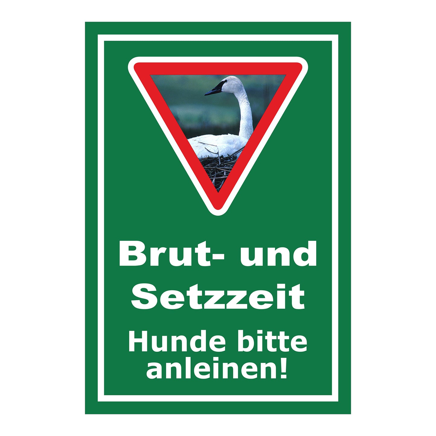 Schild Brut- und Setzzeit Hunde bitte anleinen in Grün mit weißem Rahmen und Warnsymbol mit Schwan