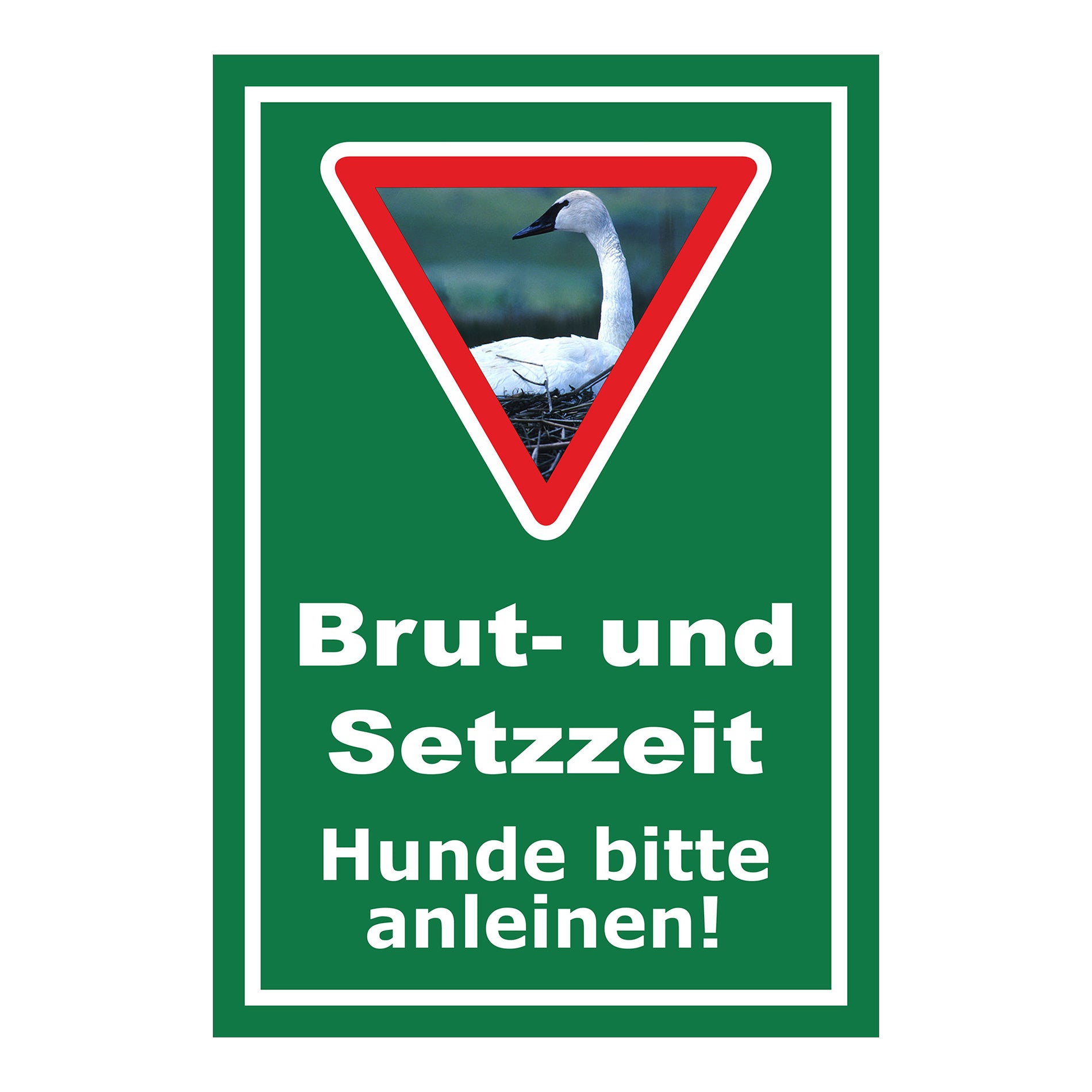 Schild Brut- und Setzzeit Hunde bitte anleinen in Grün mit weißem Rahmen und Warnsymbol mit Schwan