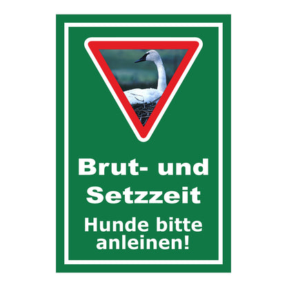 Schild Brut- und Setzzeit Hunde bitte anleinen in Grün mit weißem Rahmen und Warnsymbol mit Schwan