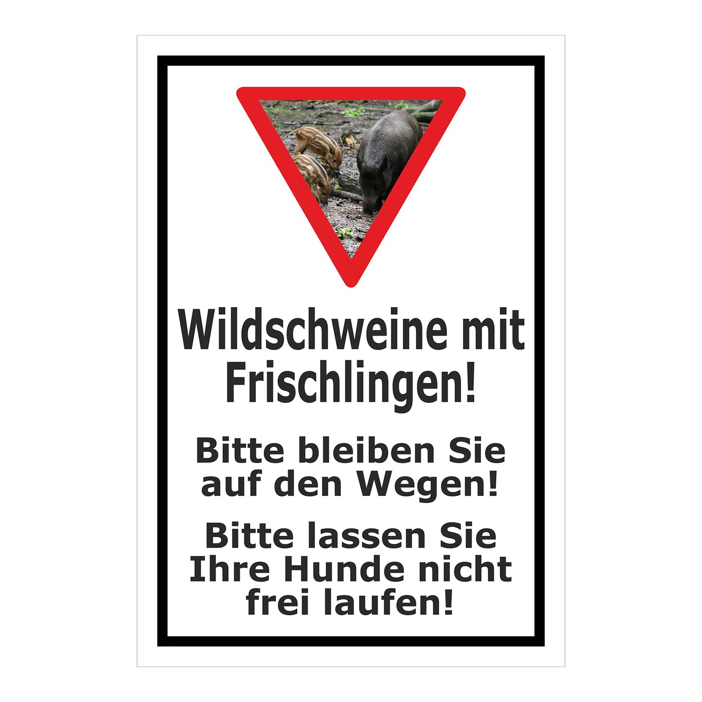Schild Wildschweine mit Frischlingen Hinweis Wege und Hunde in Weiß mit schwarzem Rahmen