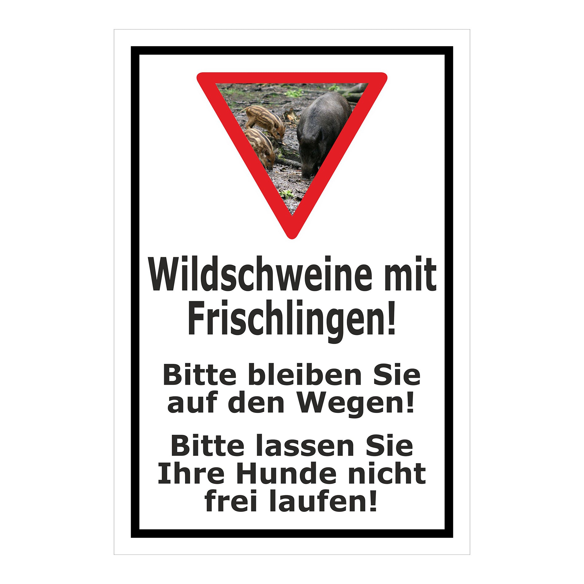 Schild Wildschweine mit Frischlingen Hinweis Wege und Hunde in Weiß mit schwarzem Rahmen
