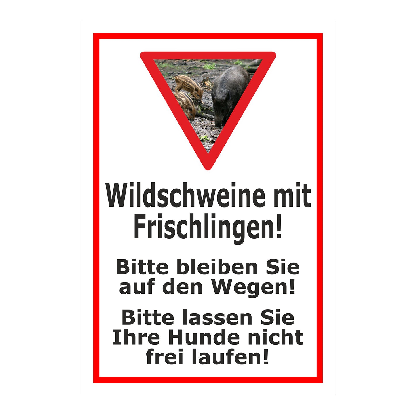 Schild Wildschweine mit Frischlingen Hinweis Wege und Hunde in Weiß mit rotem Rahmen