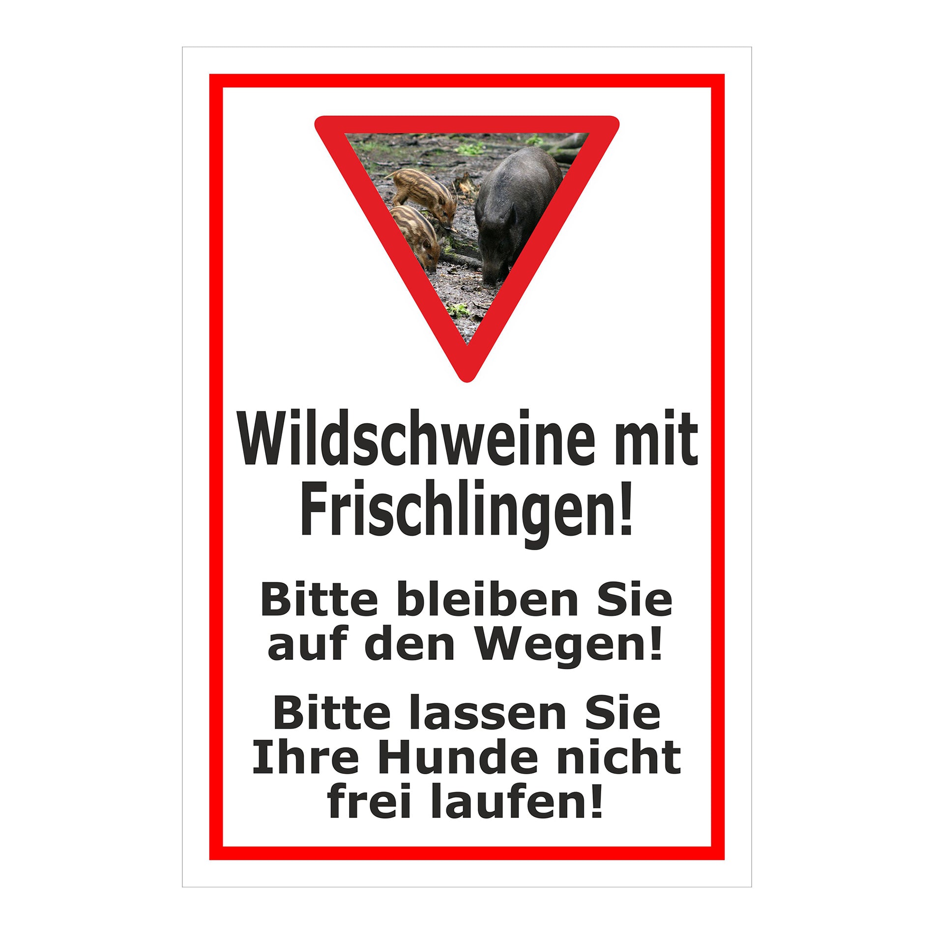 Schild Wildschweine mit Frischlingen Hinweis Wege und Hunde in Weiß mit rotem Rahmen