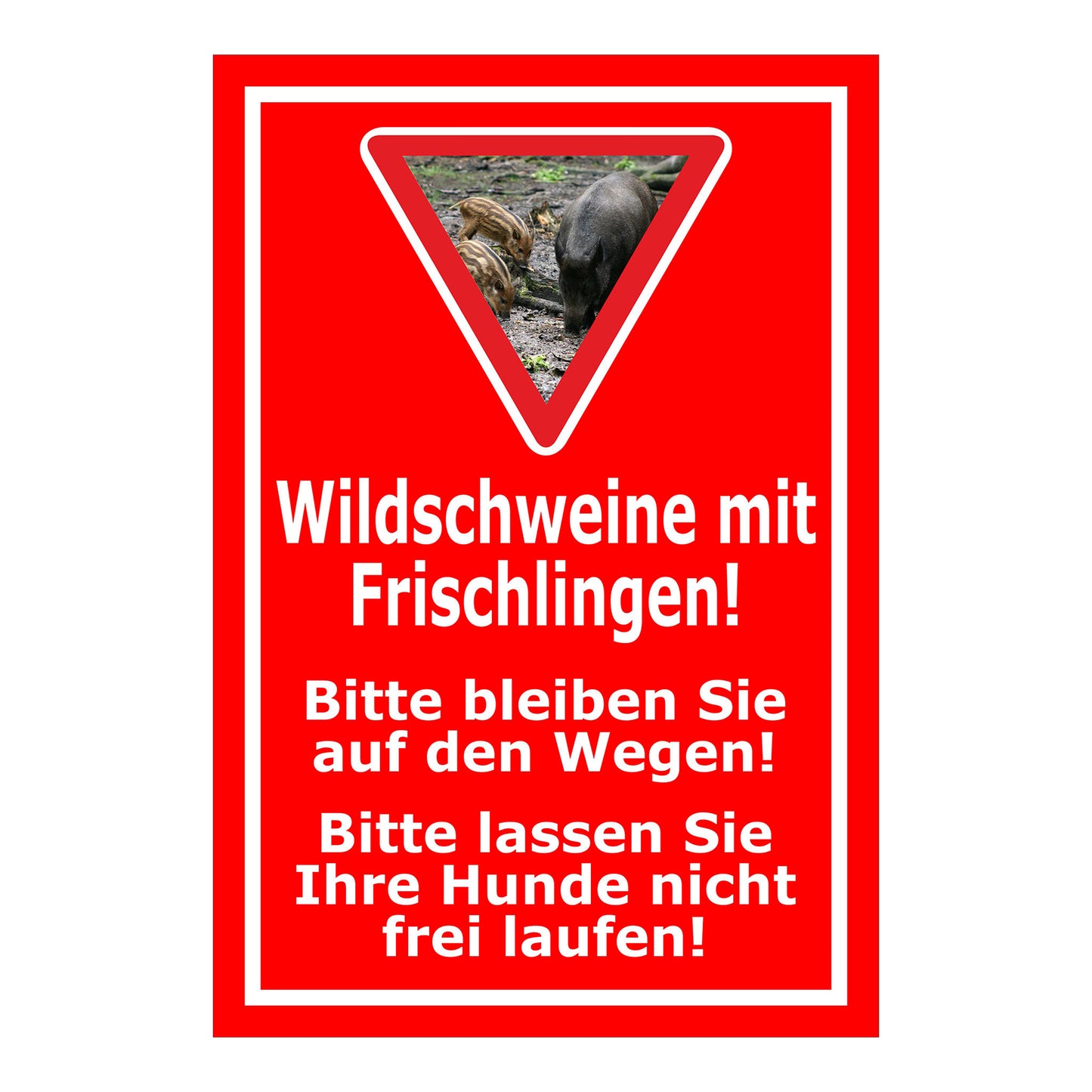 Schild Wildschweine mit Frischlingen Hinweis Wege und Hunde in Rot mit weißem Text