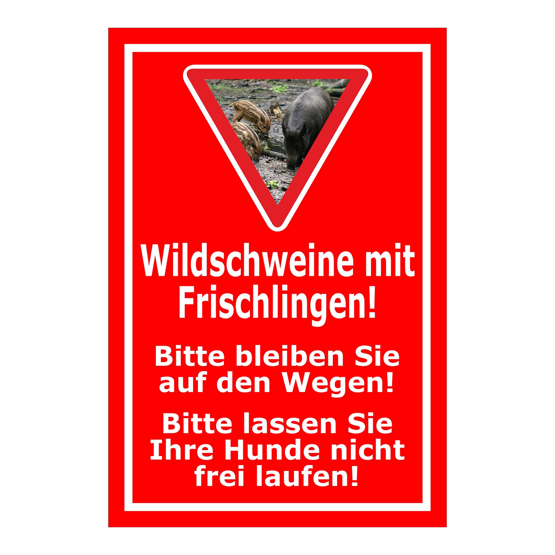 Schild Wildschweine mit Frischlingen Hinweis Wege und Hunde in Rot mit weißem Text