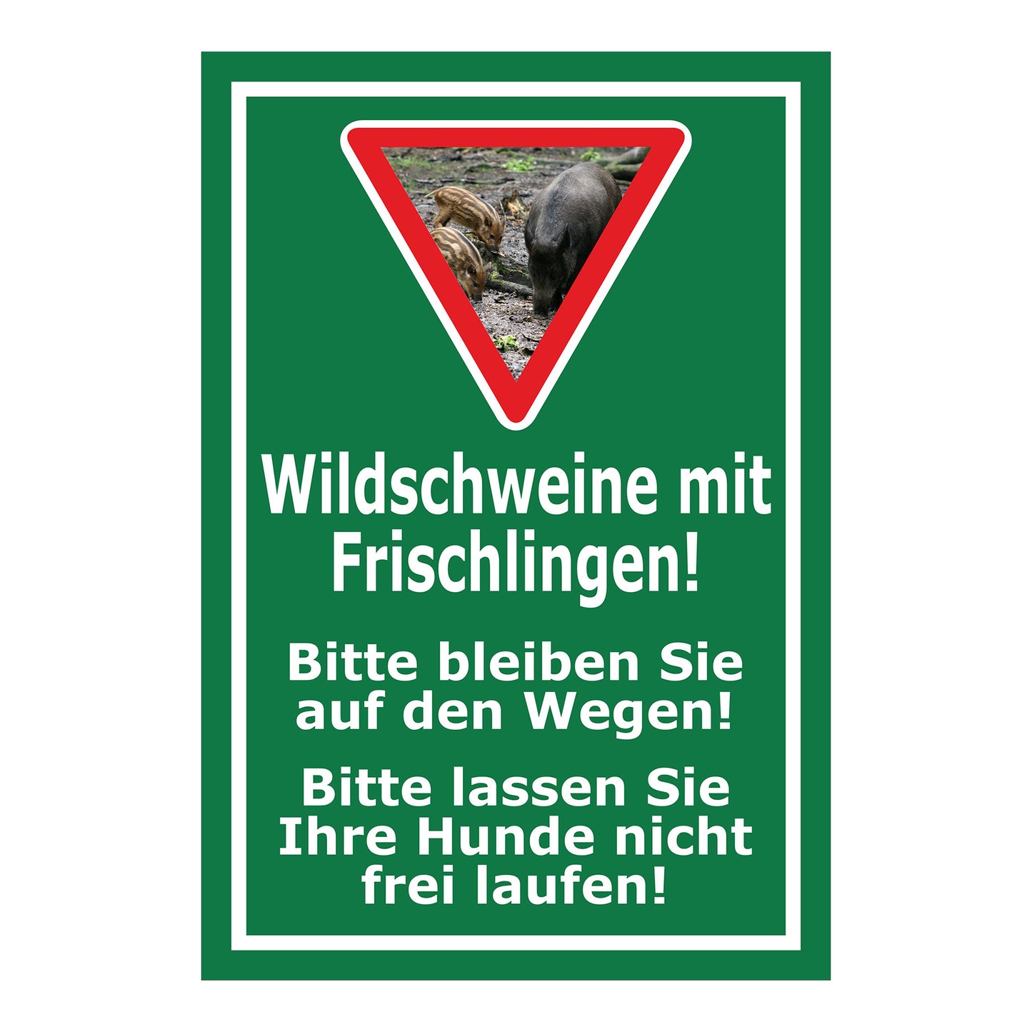 Schild Wildschweine mit Frischlingen Hinweis Wege und Hunde in Grün mit weißem Text