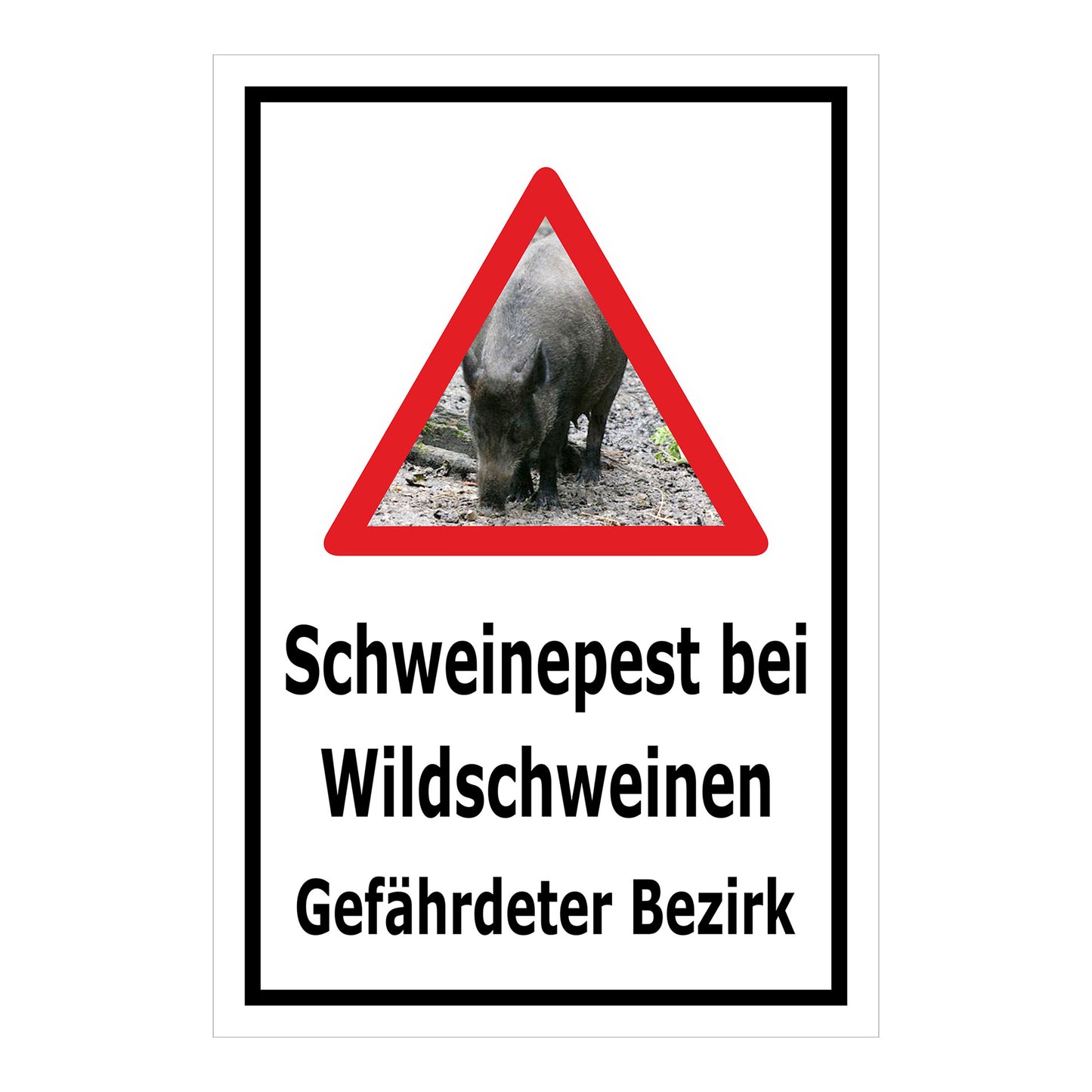 Schild Schweinepest bei Wildschweinen Gefährdeter Bezirk in Weiß mit schwarzem Rand