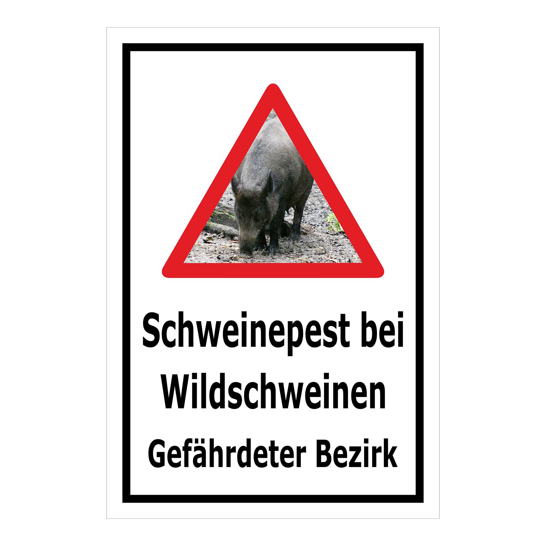 Schild Schweinepest bei Wildschweinen Gefährdeter Bezirk in Weiß mit schwarzem Rand