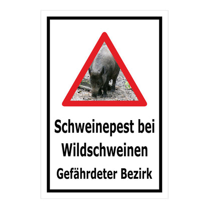 Schild Schweinepest bei Wildschweinen Gefährdeter Bezirk in Weiß mit schwarzem Rand