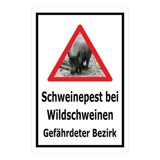 Schild Schweinepest bei Wildschweinen Gefährdeter Bezirk in Weiß mit schwarzem Rand