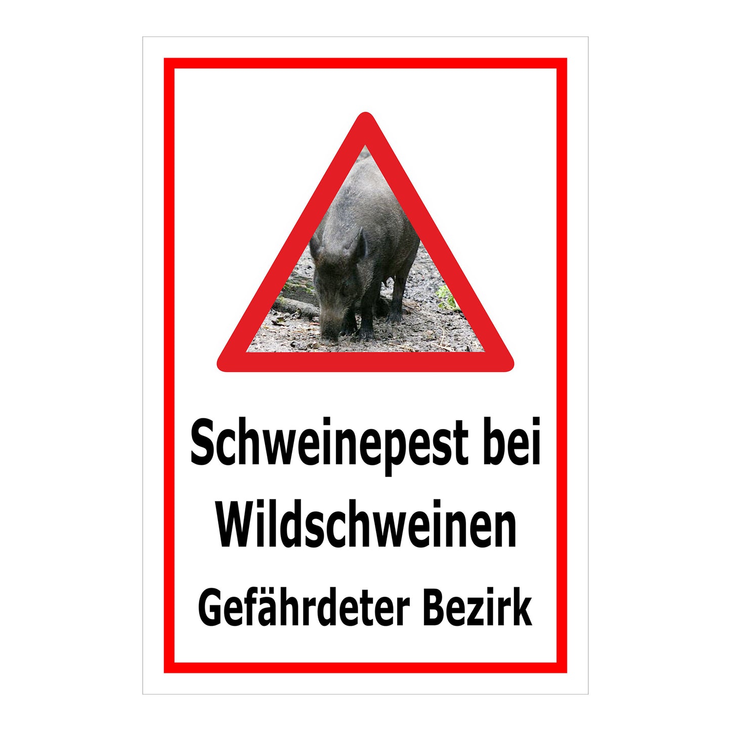 Schild Schweinepest bei Wildschweinen Gefährdeter Bezirk in Weiß mit rotem Rand