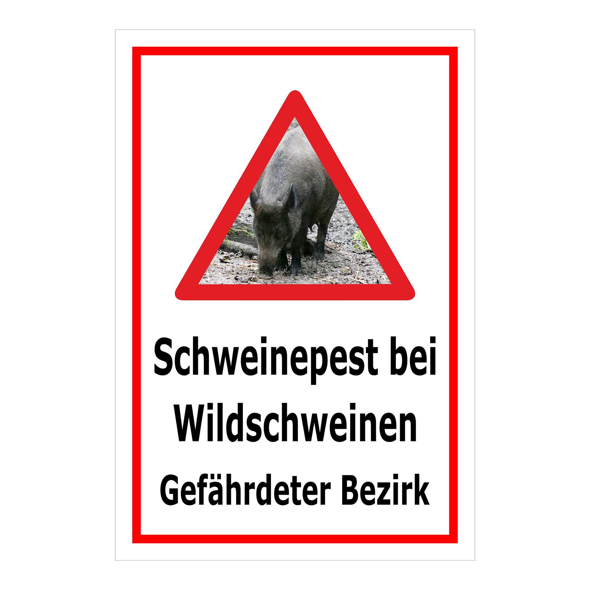 Schild Schweinepest bei Wildschweinen Gefährdeter Bezirk in Weiß mit rotem Rand