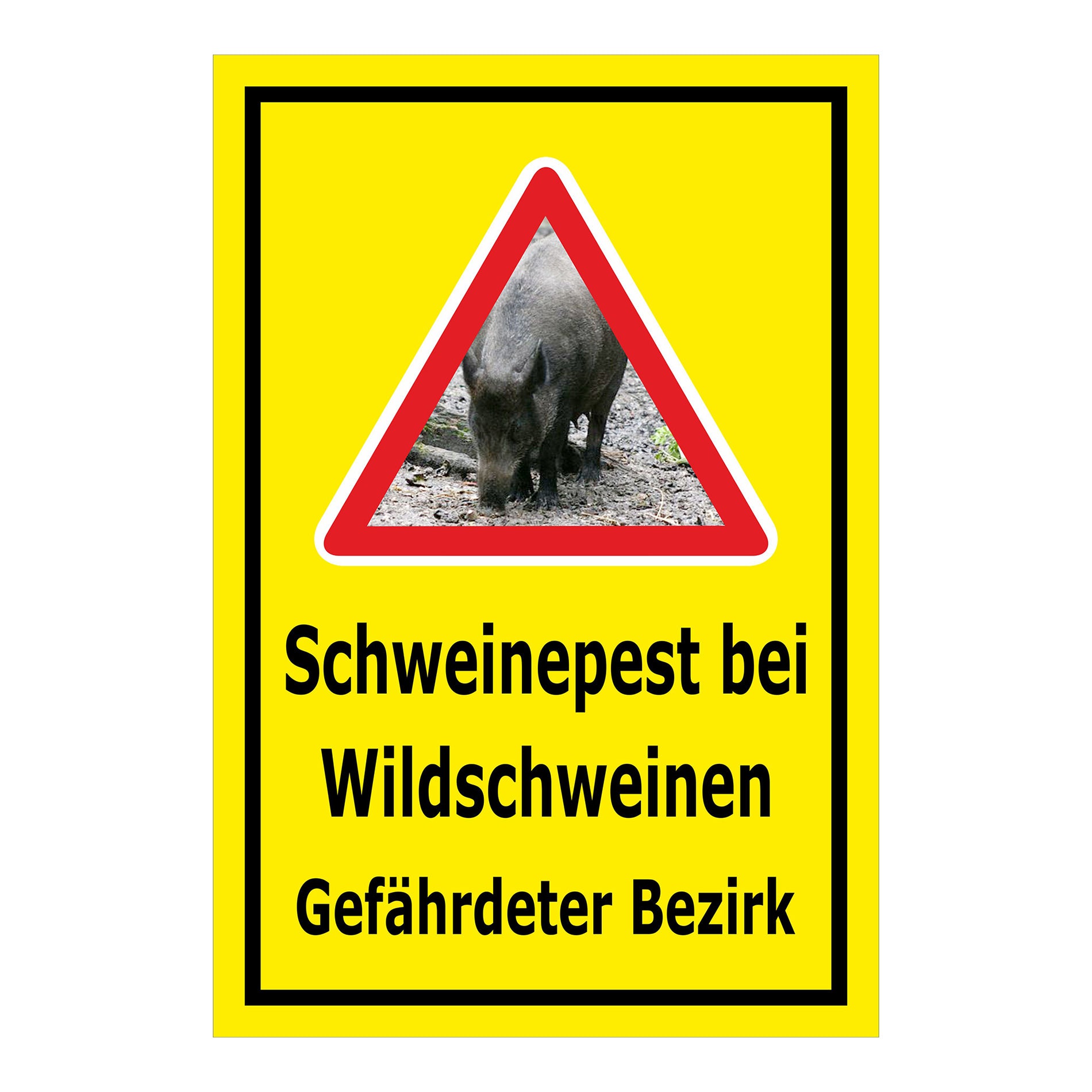 Schild Schweinepest bei Wildschweinen Gefährdeter Bezirk in Gelb mit schwarzem Rand